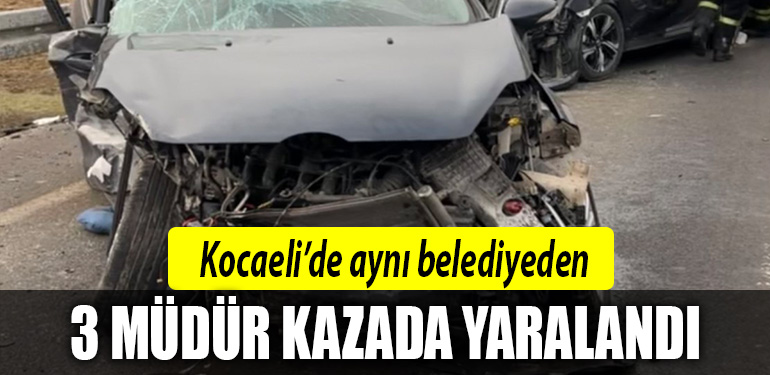 kocaeli mudur
