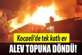 kocaeli tek katli ev