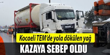 kocaeli tem