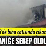kocaeli yangin 3
