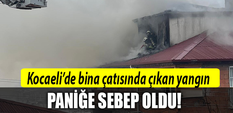 kocaeli yangin 3
