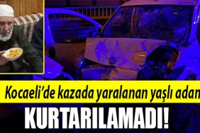 kocaeli yasli adam