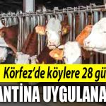 korfez karantina