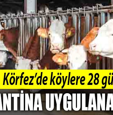 korfez karantina