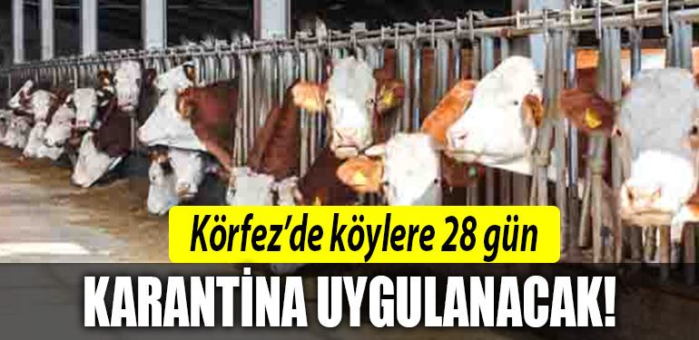 korfez karantina