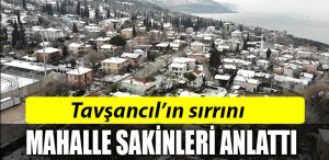 mahalle
