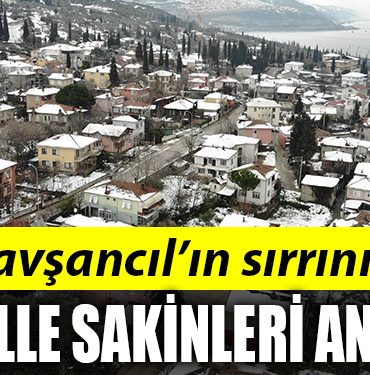 mahalle