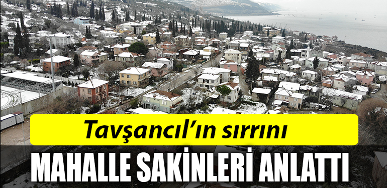 mahalle