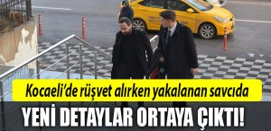 savci rusvet