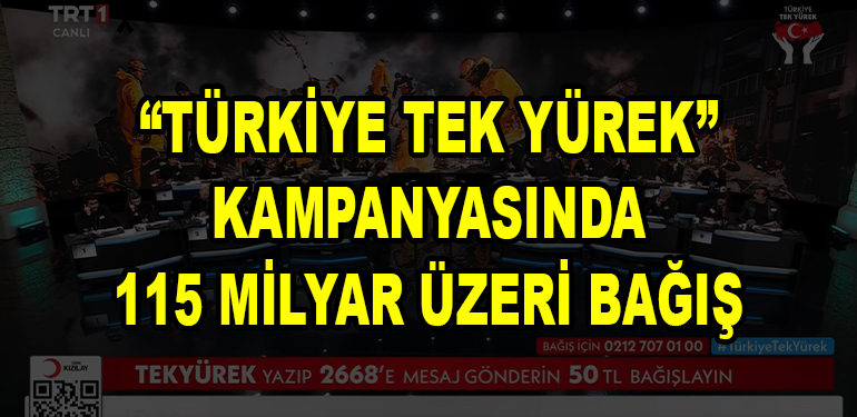 tek yurek bagis