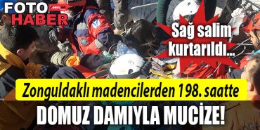 zonguldak madenci domuz dami