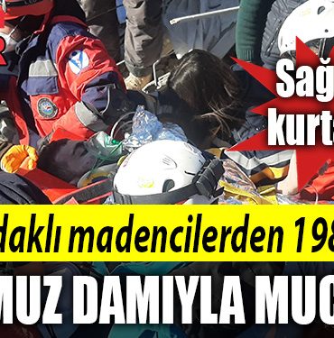 zonguldak madenci domuz dami