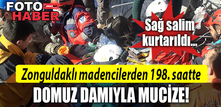 zonguldak madenci domuz dami