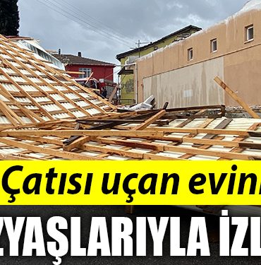 CATI