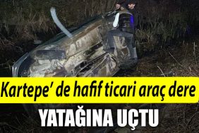 Kocaelide hafif ticari arac dere yatagina uctu