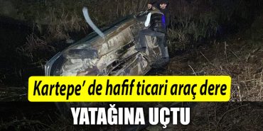 Kocaelide hafif ticari arac dere yatagina uctu