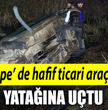 Kocaelide hafif ticari arac dere yatagina uctu