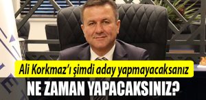 ali korkmaz