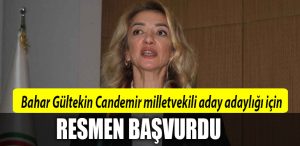 bahar gultekin candemir
