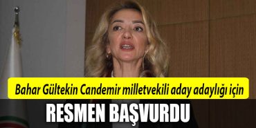 bahar gultekin candemir