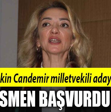 bahar gultekin candemir