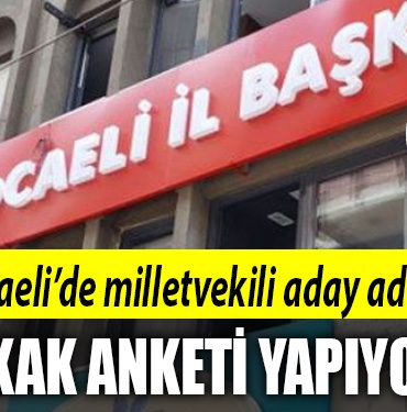 chp kocalei