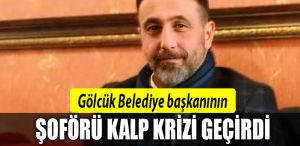 golcuk kalp