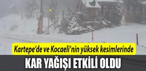 kar kocaeli kartepe