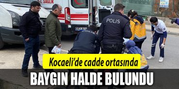 kocaeli baygin