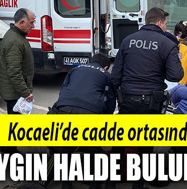 kocaeli baygin