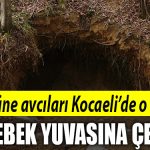 kocaeli define