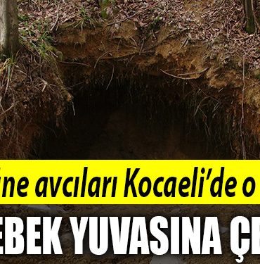 kocaeli define