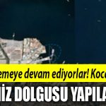 kocaeli deniz dolgusu u