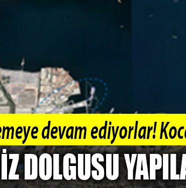 kocaeli deniz dolgusu u