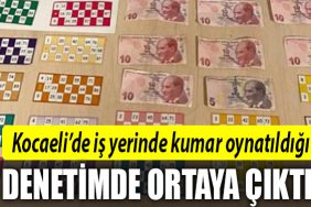 kocaeli kumar
