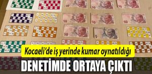kocaeli kumar