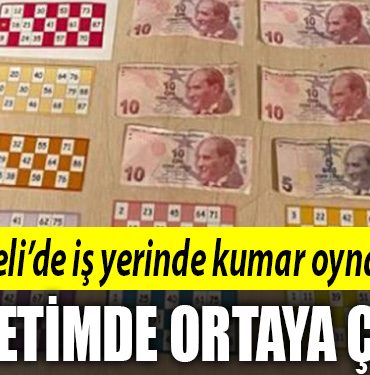 kocaeli kumar