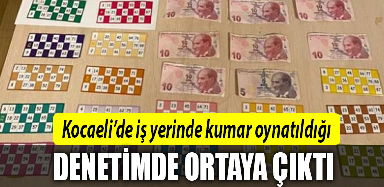 kocaeli kumar