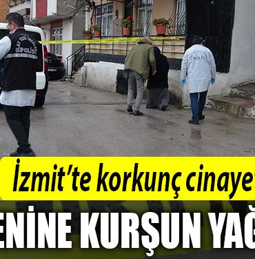 kocaeli kursun kuzen