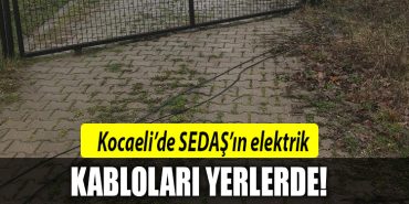 kocaeli sedas