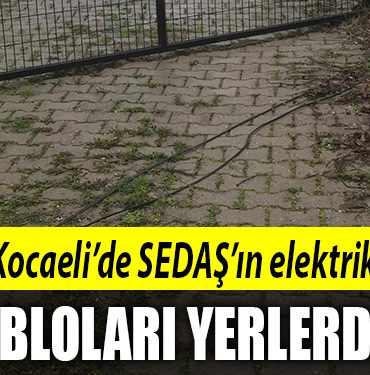kocaeli sedas