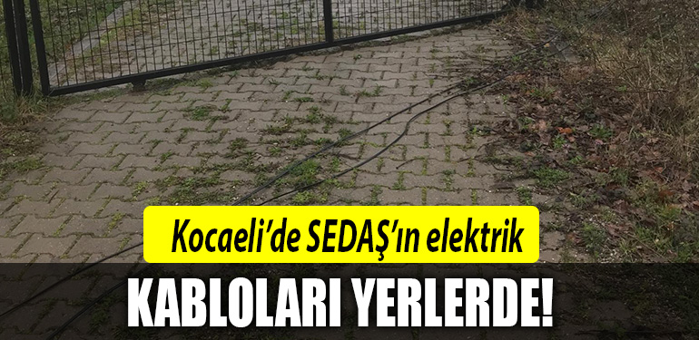 kocaeli sedas