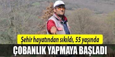 kocaeli sehir hayatindan sikildi