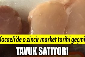 kocaeli tavuk