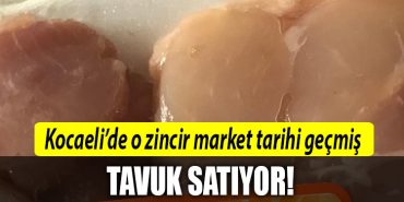 kocaeli tavuk