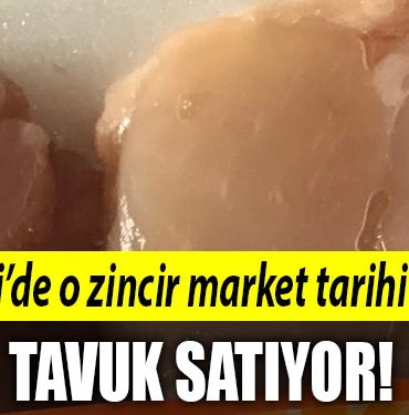 kocaeli tavuk