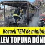 kocaeli tem minibus