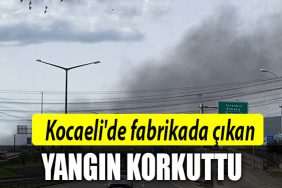 kocaeli yangin 1