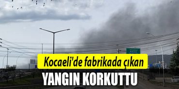 kocaeli yangin 1