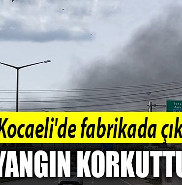 kocaeli yangin 1